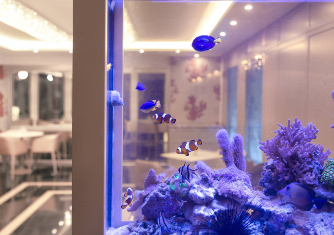media.Hotel Feldberg Riccione Pagoda Acquario_1