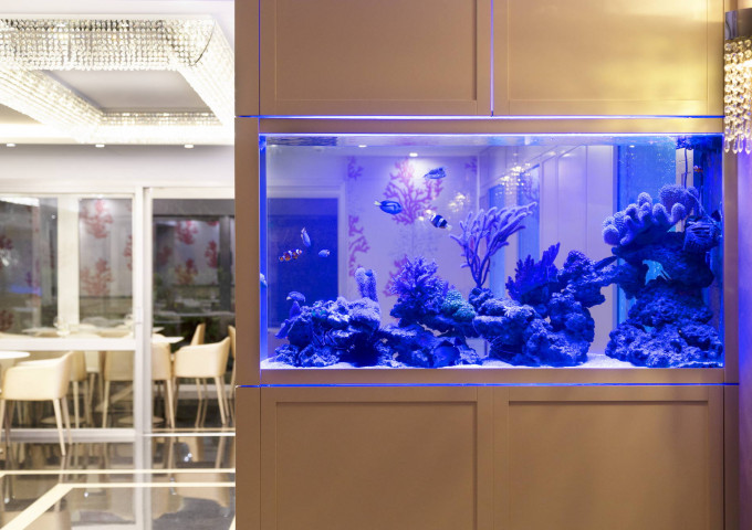 media.Hotel Feldberg Riccione Pagoda Acquario_6