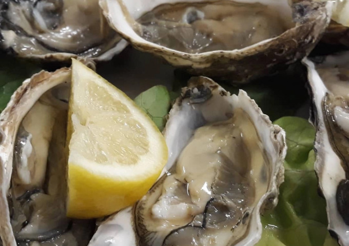 media.guest_pics_feldberg_riccione (3)