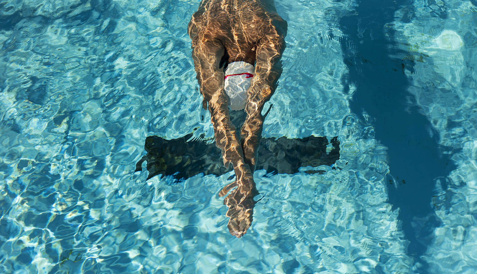 media.trofeo nuoto riccione fin offerta hotel 4 stelle