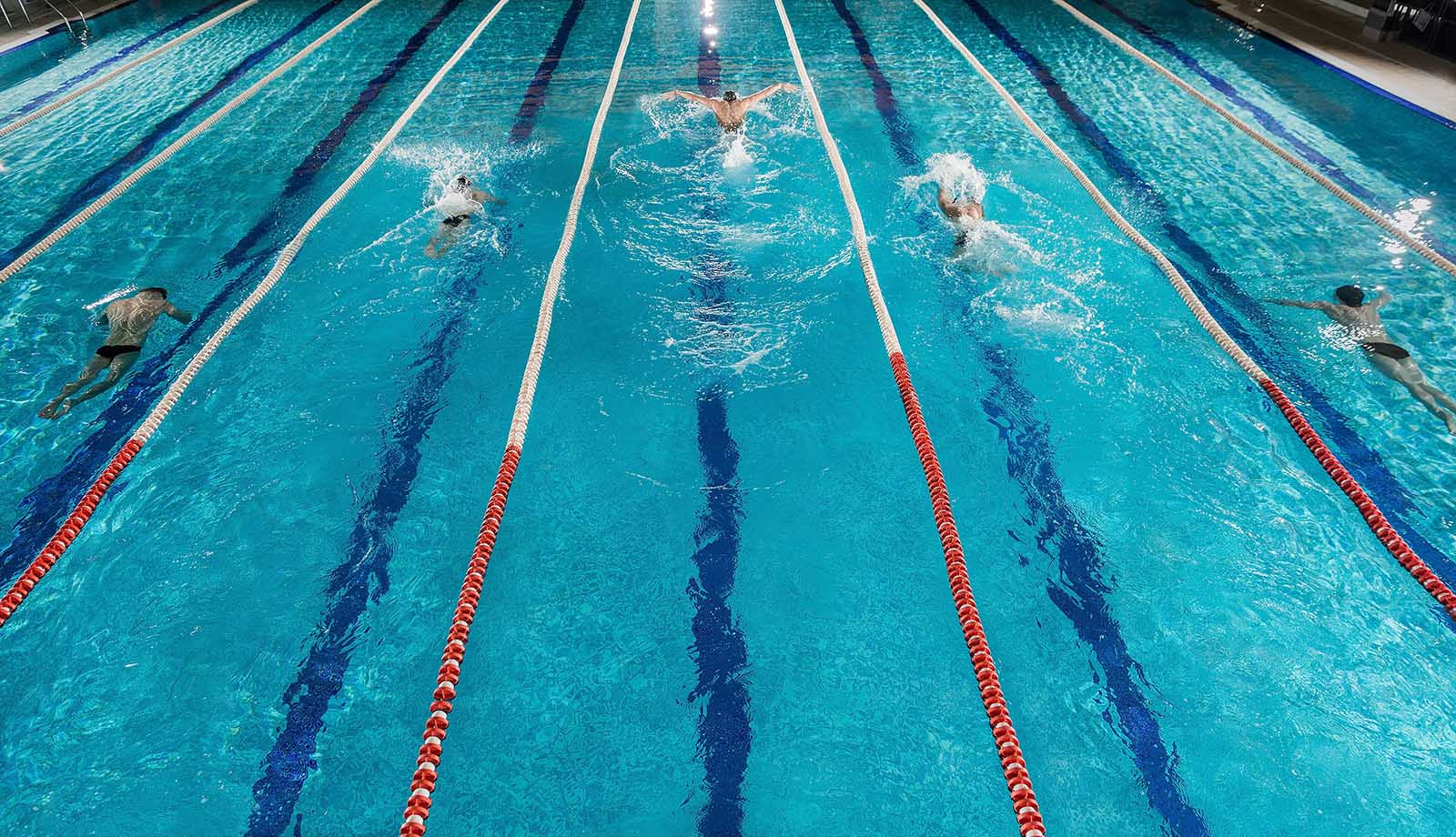 media.campionati assoluti invernali fin riccione offerta hotel 4 stelle