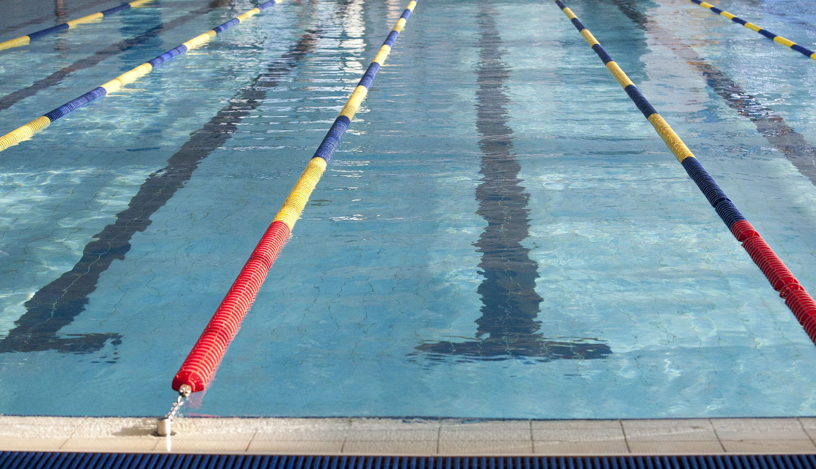 media.Campionato Italiano Assoluto Salvamento Riccione Offerta Hotel