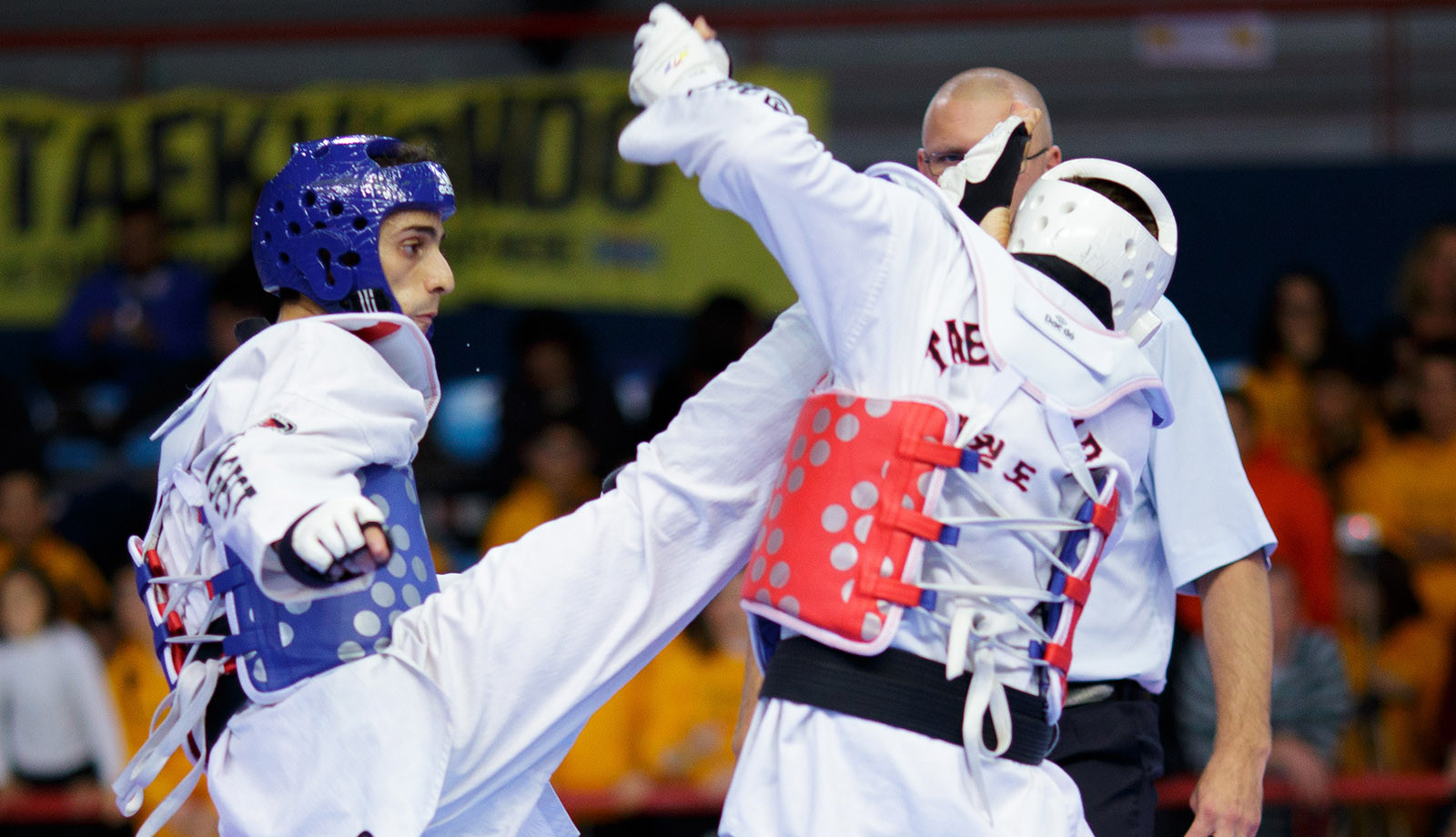 media.riccione Taekwondo playhall hotel 4 stelle offerta