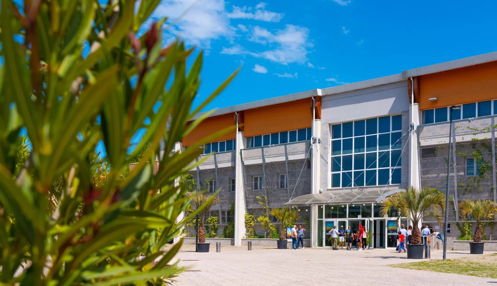 media.playhall-massimo-pironi-riccione-hotel-feldberg-riccione