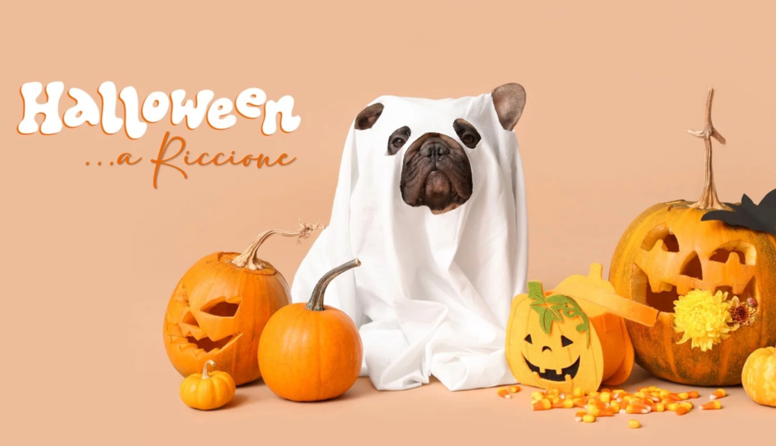 media.hotel_offerta_halloween_riccione_feldberg2026
