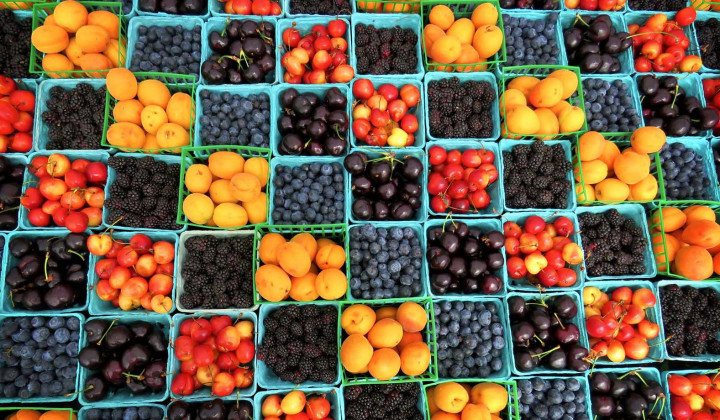 media.macfrut offerta hotel riccione fiera