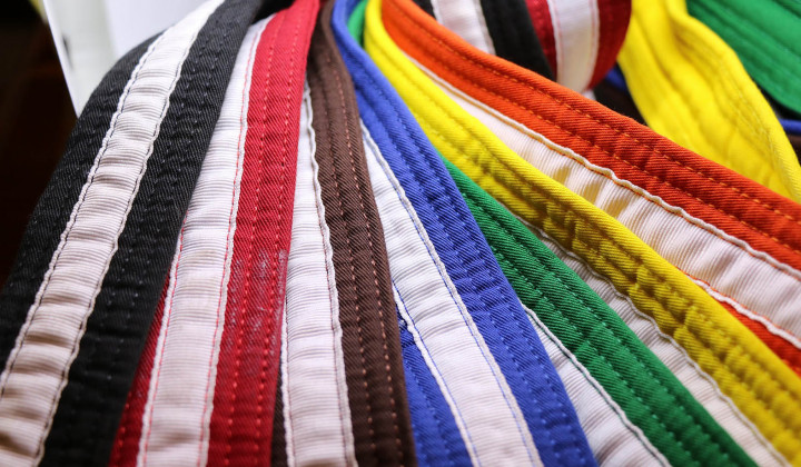 media.karate riccione fijlkam playhall hotel 4 stelle