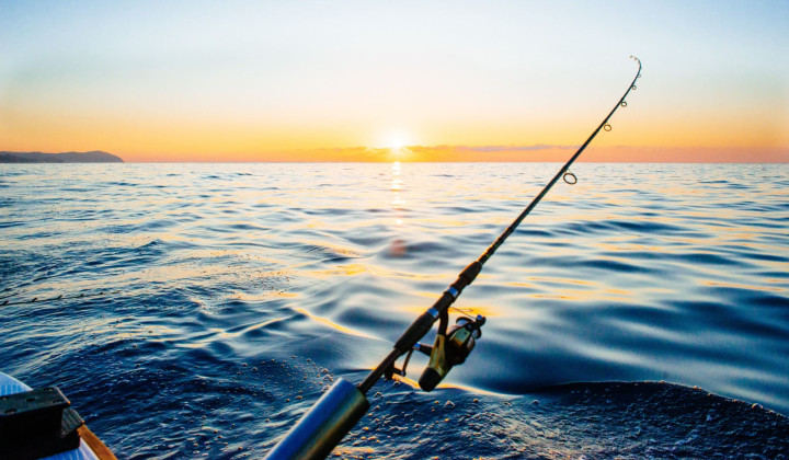 media.fiera-pescare-show-rimini-hotel-feldberg-riccione