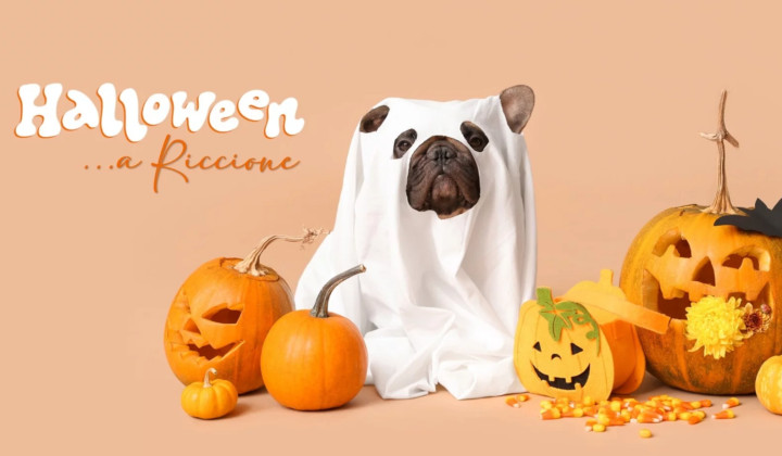 media.hotel_offerta_halloween_riccione_feldberg2026